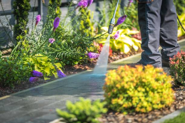Professional Pressure Washing Services in Land O Lakes, FL