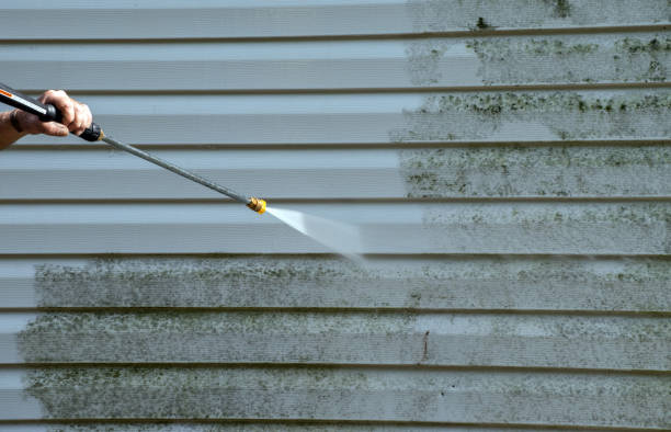 Best Roof Washing  in Land O Lakes, FL