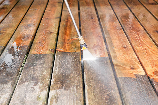 Boat and Dock Cleaning in Land O Lakes, FL